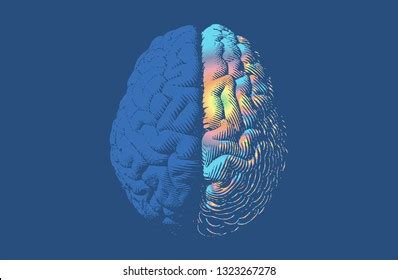 Image result for Mind Exploding Back Cover