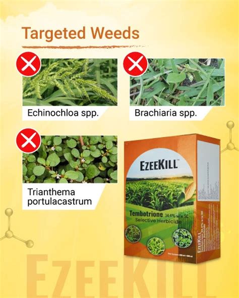 Ezeekill Herbicide - Tembotrione 34.4% SC | Buy Online Starting Rs 699 ...