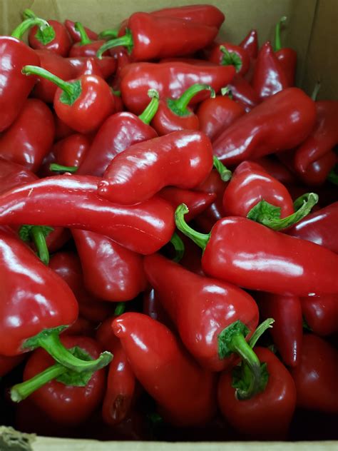 Red Fresno Chile Peppers Information, Recipes and Facts