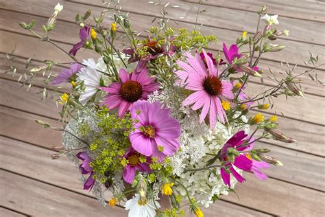 14 Sun-Loving Perennials Florida Gardeners Love For Cut Bouquets