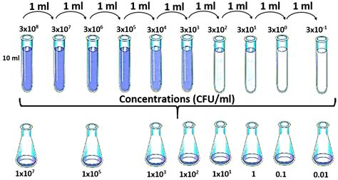 Concentration Detection of the E. coli Bacteria in Drinking Water ...