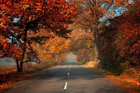 Image result for Autumn Homework EYFS