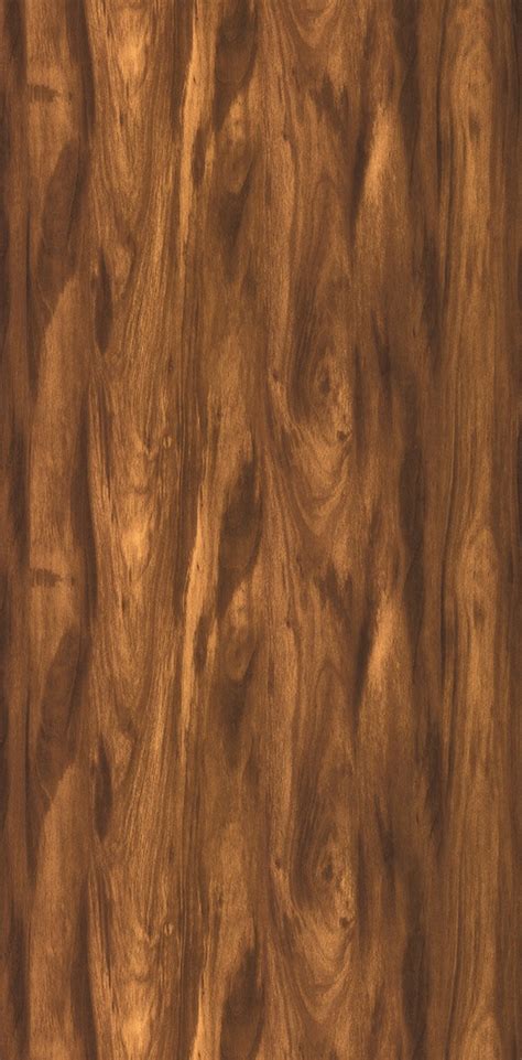 2223 AUSTRIAN PINE || Yamuna interiors PVT. LTD.- Cobra