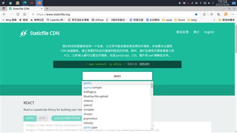 JavaScript CDN 的图像结果