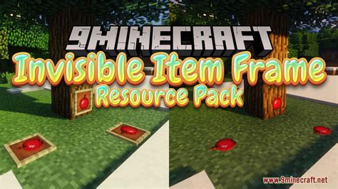 Image result for Minecraft Invisible Item Frame Command Java