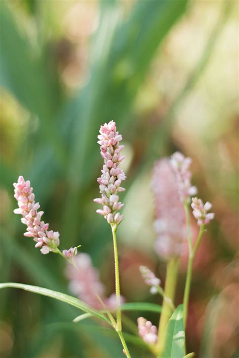 Local Portrait Photography 的图像结果