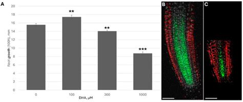 International Journal of Plant Biology | An Open Access Journal from MDPI
