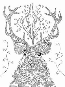 ausmalbilder tiere erwachsene ausmalbilder tiere erwachsene coloring pages ausmalbilder tiere erwachsene ausmalbilder tiere erwachsene coloring pages