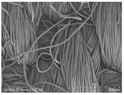 Dyeing of m-Aramid Fibers in Ionic Liquids