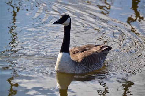 BEAR CREEK PARK (2024) All You Need to Know BEFORE You Go (with Photos ...