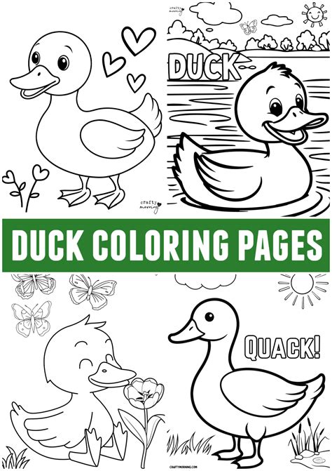 Printable Duck Coloring Pages [2025]