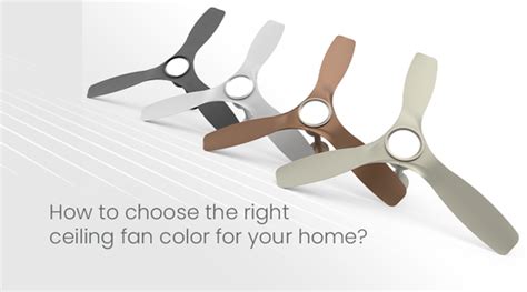 Tower Fan vs Pedestal Fan: Which One Is Right for You?