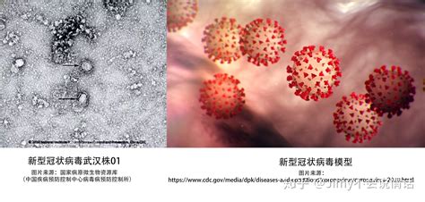 新型冠状病毒（2019-nCoV）认识和预防 - 知乎