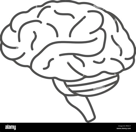 Easy To Draw Brain Clip Art