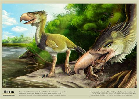Species New to Science: [PaleoOrnithology • 2024] A gigantic new Terror ...