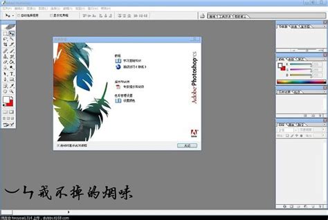 photoshop下载破解版-photoshop下载中文版免费破解版 v22.5.0.384[百度网盘资源] - 多多软件站