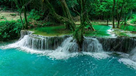 Pictures for Environment 的图像结果