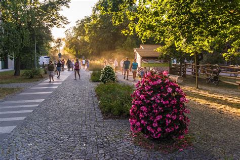 https://www.konstancinjeziorna.pl/sites/default/files/pliki/uzdrowisko%20odwied%C5%BA/IMGP5685.jpg