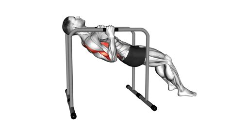 Parallel Bars Bent Knee Inverted Row (Male) - Video Guide & Tips
