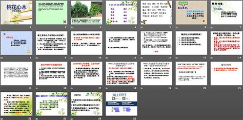 《桃花心木》PPT课件5 - 第一PPT