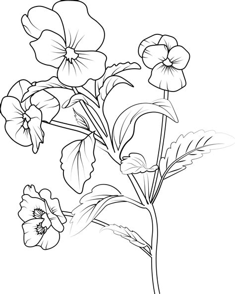 Realistic Flower Coloring Pages - Jace Printable