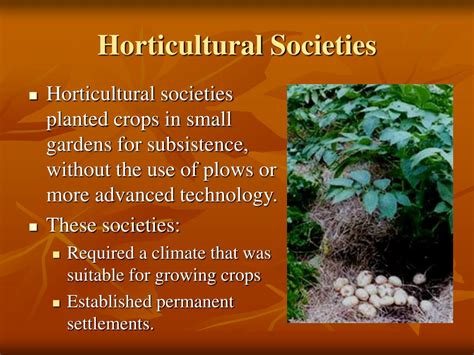 Example of Society 的图像结果