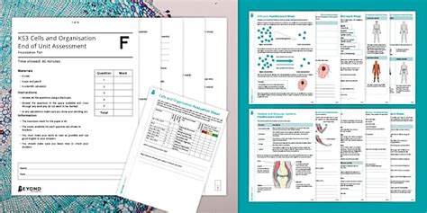 KS3 Cells and Organisation Assessment Pack | Foundation
