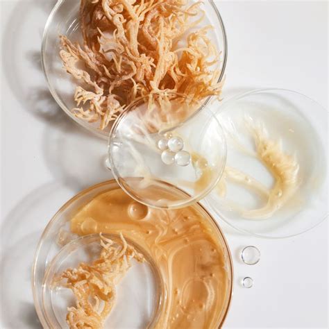 Should you use sea moss for weight loss? A Dietitian reveals the truth ...