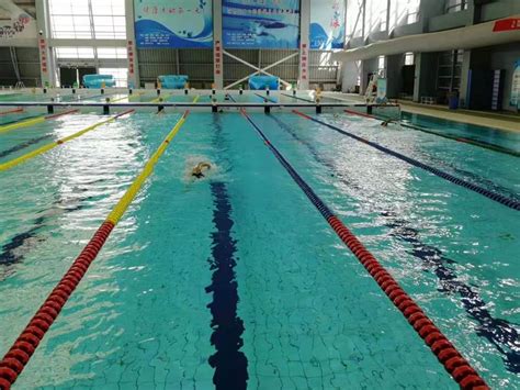 河北省青少年游泳锦标赛在衡水市举办-搜狐体育