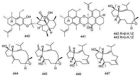 Marine-Derived Diterpenes from 2019 to 2024: Structures, Biological ...