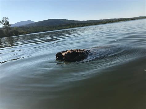 Chewing Black Bones Campground | The Dyrt
