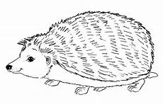 ausmalbilder drucken igel ausmalbilder igel kostenlos malvorlagen zum ausdrucken ausmalbilder drucken igel ausmalbilder igel kostenlos malvorlagen zum ausdrucken