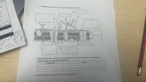 Cell Components 的图像结果