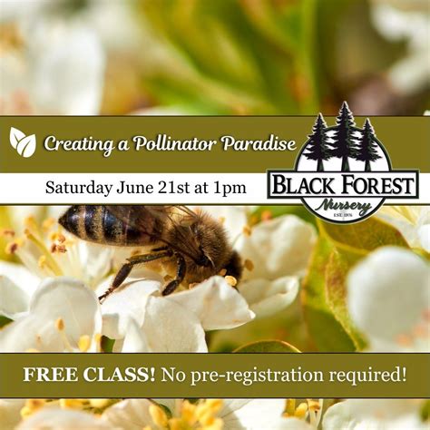 FREE CLASS: Creating a Pollinator Paradise, 209 King Street, Boscawen ...