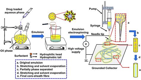 Electrospinning Processing of Polymer/Nanocarbon Nanocomposite ...