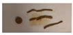 Comparison of Field and Laboratory Tests for Soil Suitability ...