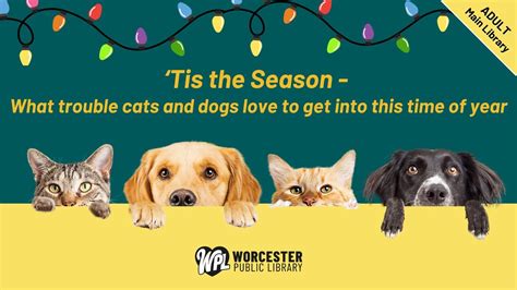 ‘Tis the Season- What trouble cats & dogs love to get into this time of ...