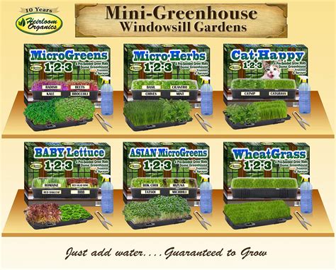 Indoor Strawberry Planter Kit - Garden Plant