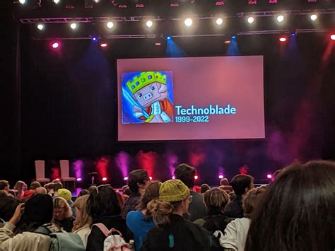 TechnoBlade 的图像结果