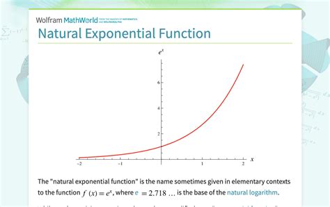 Image result for Natural Exponential Function Graph