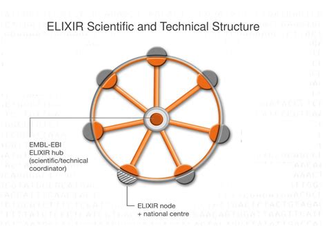 Elixir Governance 的图像结果