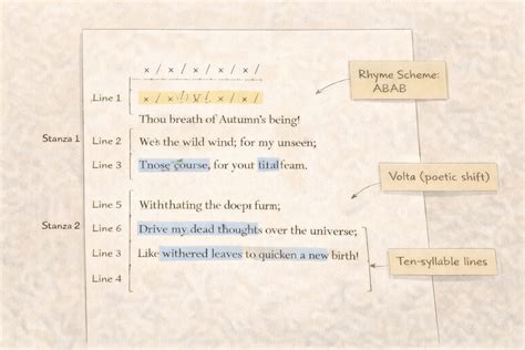 Poem Structure Explained: How Form Shapes Meaning in Poetry | Epic Essay