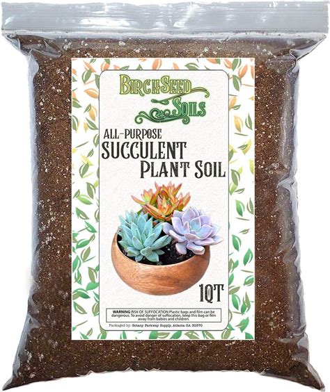 Amazon.com : Succulent Plant Soil, Natural All-Purpose Cactus, Aloe ...
