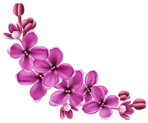 Flower Clip art - Flowers Png 9 png download - 4967*4131 - Free ...