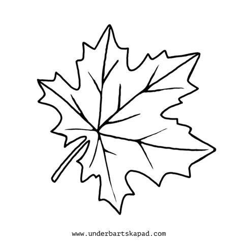 Fall Leaves Color Pages