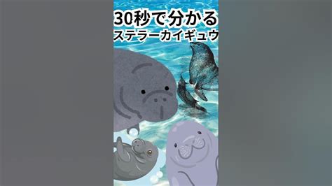 Image result for Multigraph with Parallel Edges Example