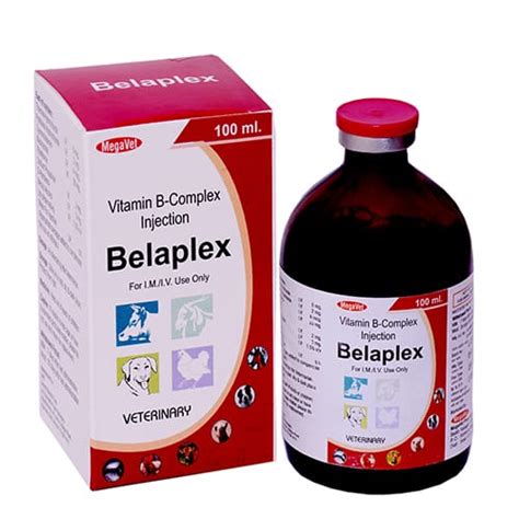 VITAMIN B-COMPLEX-100ml Liq.Injection(Vet.) ISKON REMEDIES