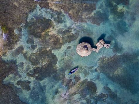 17 Interesting and Fun Facts About Jamaica - The Planet D