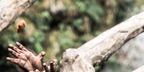 4-day hiking tour in Mount Emei, Sichuan (2-8 people group + Leshan ...