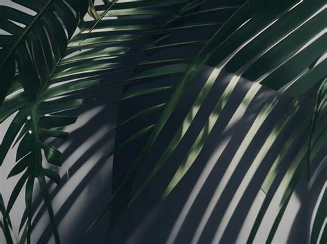 Professional Background 的图像结果